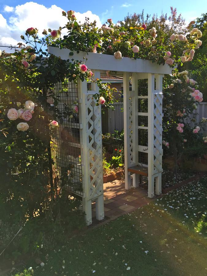Exley House B&B Perth Exterior photo